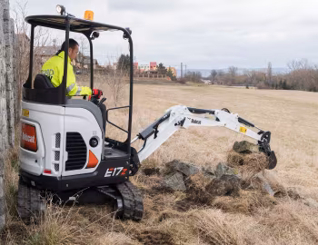 Bobcat E17z [Worldwide] '2017–25