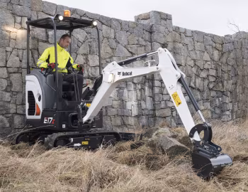 Bobcat E17z [Worldwide] '2017–25