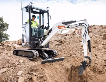 Bobcat E20z [Worldwide] '2025–pr.