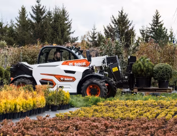 Bobcat TL25.60 [EU-spec] '2022–pr.