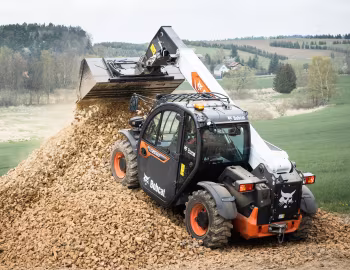 Bobcat TL25.60 [EU-spec] '2022–pr.