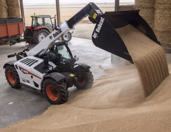 Bobcat TL30.70 Agri [EU-spec] '11.2017–21