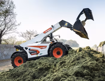 Bobcat TL38.70HF Agri [Worldwide] '2021–pr.