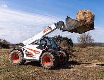 Bobcat TL43.80HF Agri [Worldwide] '2021–pr.