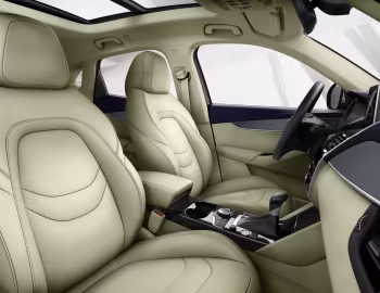 Interior Borgward BX5 '03.2017–21