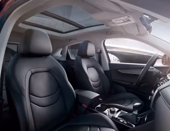 Interior Borgward BX5 '03.2017–21