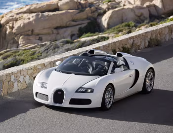 Bugatti Veyron Grand Sport Roadster '2009–12