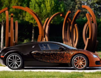 Bugatti Veyron Grand Sport Roadster "Venet" '2012