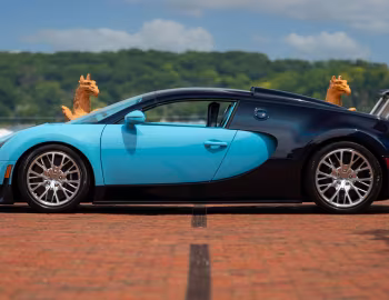 Bugatti Veyron Grand Sport Roadster "Vitesse" "JP Wimille" [North America] '2013