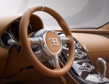 Panel frontal Bugatti Veyron Grand Sport Roadster "Vitesse" "Rembrandt Bugatti" '2014
