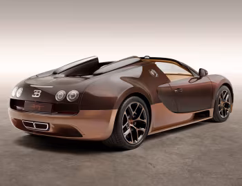 Bugatti Veyron Grand Sport Roadster "Vitesse" "Rembrandt Bugatti" '2014