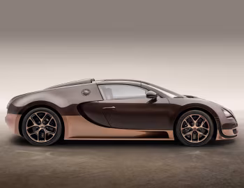 Bugatti Veyron Grand Sport Roadster "Vitesse" "Rembrandt Bugatti" '2014