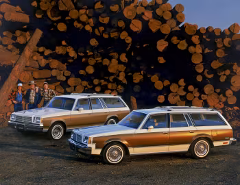 1981 Buick Century Station Wagon & Estate Wagon