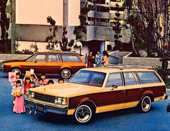 1979 Buick Century Estate Wagon '1978–79