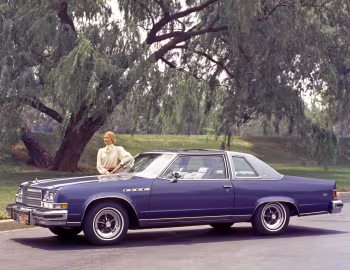1978 Buick Electra Park Avenue Landau Coupe (U37)