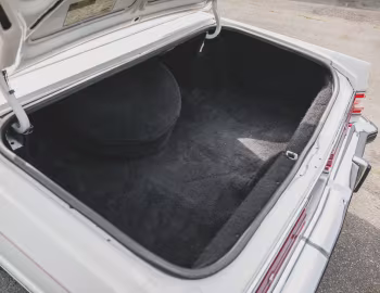 Ambos 1979 Buick Electra Park Avenue Coupe (4C U37)