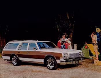 1979 Buick Estate Wagon (4BR35)