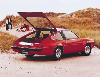 1975 Buick Skyhawk (4H S07)