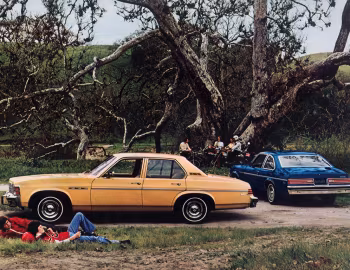 1976 Buick Skylark Sedan & Coupe