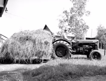 Bukh 302 '1960–67