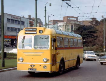 Leyland Royal Tiger PSU1/13 Burlingham [UK-spec] (B41D) '1954