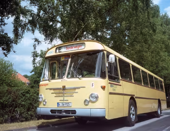 Büssing Senator/Präfekt '1965–????