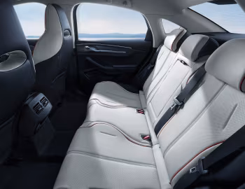 Interior BYD Destroyer 05 '2022–25