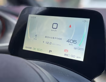 Painel BYD Dolphin [China] '2021–23
