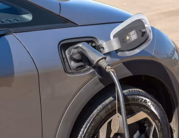 BYD Dolphin [Latam] '2023–pr.