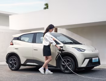 BYD Seagull [China] '2023–25