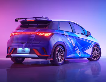 BYD Dolphin eStarPro '2022
