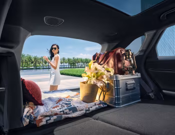 Porta-malas BYD Sealion 06 EV '2025–pr.