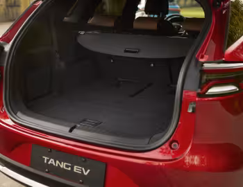 Porta-malas BYD Tang EV '2018–22