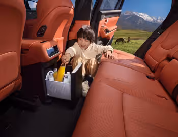 Interior BYD Tang L EV '2025–pr.