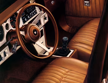Interior 1982 Cadillac Cimarron (6G-69) '05.1981–82