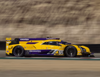 JDC-Miller MotorSports Cadillac DPi-V.R '2019