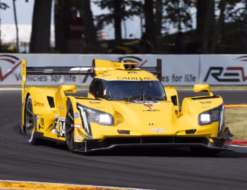 JDC-Miller MotorSports Cadillac DPi-V.R '2019