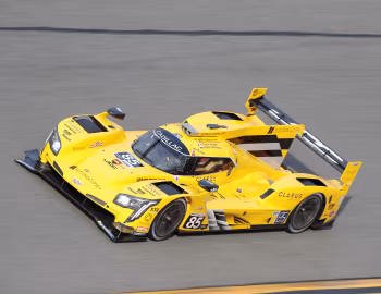 JDC-Miller MotorSports Cadillac DPi-V.R '2019