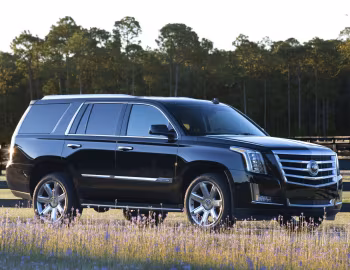 2015–20 Cadillac Escalade [North America] (GMTK2XL) '2014–20