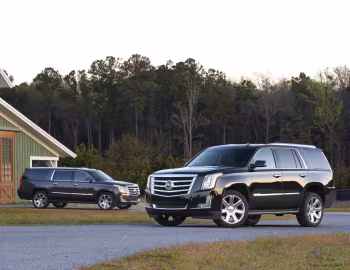 2015–20 Cadillac Escalade (GMTK2XL) '2014–20