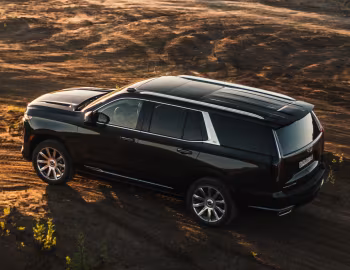 Cadillac Escalade 600 [CIS] '2021–22