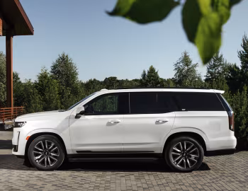 Cadillac Escalade 600 Sport [CIS] '2021–22