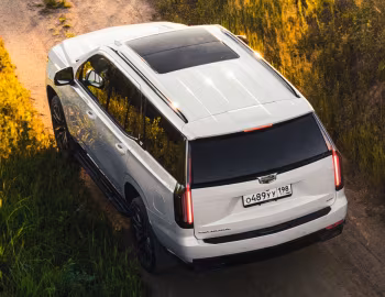 Cadillac Escalade 600 Sport [CIS] '2021–22