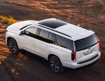 Cadillac Escalade 600 Sport [CIS] '2021–22