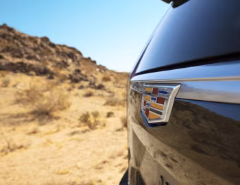 2021–pr. Cadillac Escalade 600 Platinum Luxury [North America] '2020–pr.