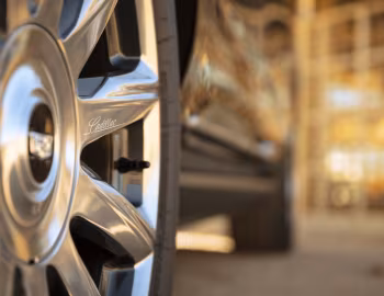 2021–pr. Cadillac Escalade 600 Platinum Luxury [North America] '2020–pr.