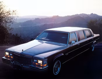 Cadillac Fleetwood Distessa Limousine by Williams '1983
