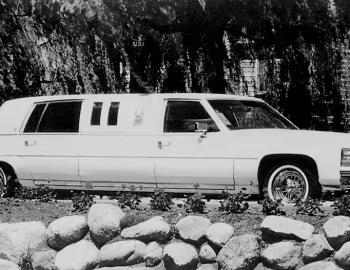 1985 Cadillac Fleetwood Limousine by Diamond Coachbuilders '1984