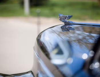 Mascota 1941 Cadillac Fleetwood Seventy-Five Touring Sedan (41-7519)