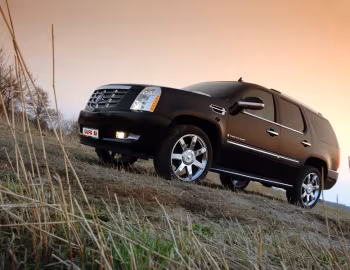 Лаура Cadillac Escalade '2009–14